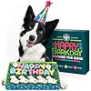 Dog Birthday Cookies Dog Birthday Treats for Dogs at Any Age Made with Human Grade Ingredients Happy Birthday Dog Cookies Boy or Girl Puppy First Bday Dog Birthday Gift Baked Fresh in USA