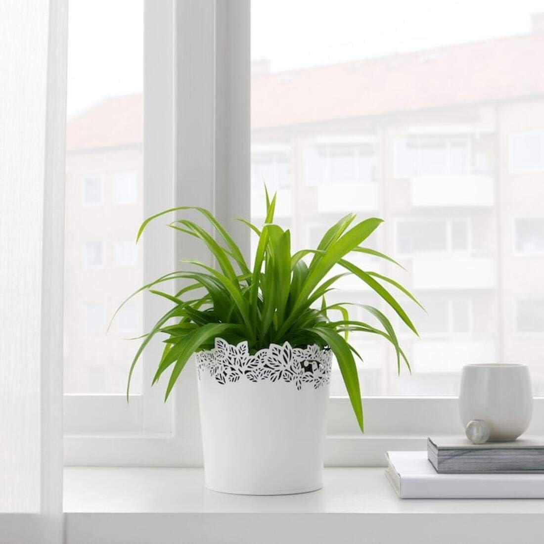 IKEA SAMVERKA White 12cm Steel Plant Pots - Set of 3 : Amazon.ae: Patio,  Lawn & Garden
