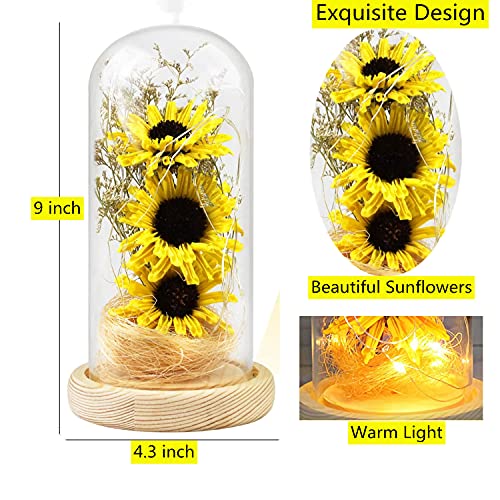 N*A NA Sunflower in Glass Dome Gifts for Women Enchanted Flower with LED Light Enchanted Gift for Women on Christmas Valentine's Day Mother's Day Anniversary Birthday Thanksgiving