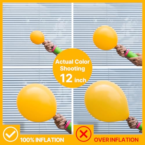 Image of PartyWoo Mustard Yellow Balloons 100pcs 5 Inch Yellow Fall Balloons for Birthday Graduation Gender Reveal Engagement Baby Shower Bee Summer Sunflower Little Cutie Lemon Party Decorations Yellow-Y10