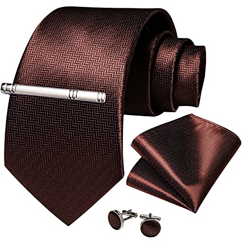 DiBanGu Cravatta da uomo in seta tinta unita