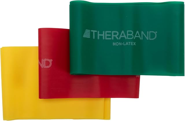 TheraBand Resistance Bands Set, Non-Latex Elastic Band for Upper/Lower Body Exercise, Strength Training Without Weights