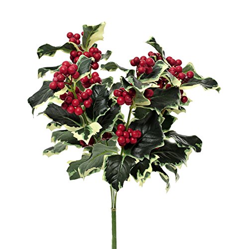 FloristryWarehouse Holly Bush 7 Stem 30cm Variegated Green Leaves with Red Berries