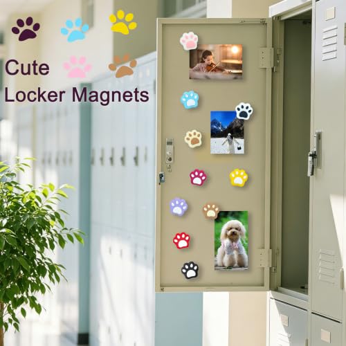 Set de 20 imanes decorativos huella de gato miniatura 6