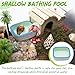 Niuohoy Hermit Crab Kit Hideout Water Pool Tank Decorative Accessories with Palm Tree Decorations Enrichment Toy for Turtles Lizard Frog Gecko Chameleons