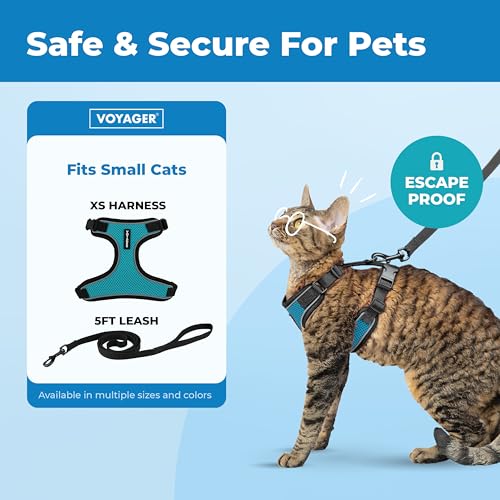 Image of Voyager Escape-Proof Step-in Lock Cat Harness & 5ft Neoprene-Handle Leash Set All-Weather Mesh with Reflective Stitching for Small to Large Cats by Best Pet Supplies, Black Trim-Turquoise (327), XS