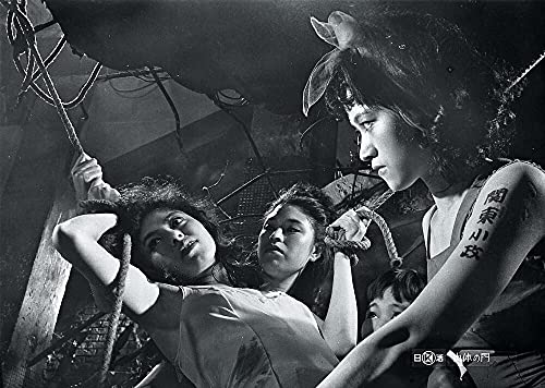 La Barrière de chair - DVD