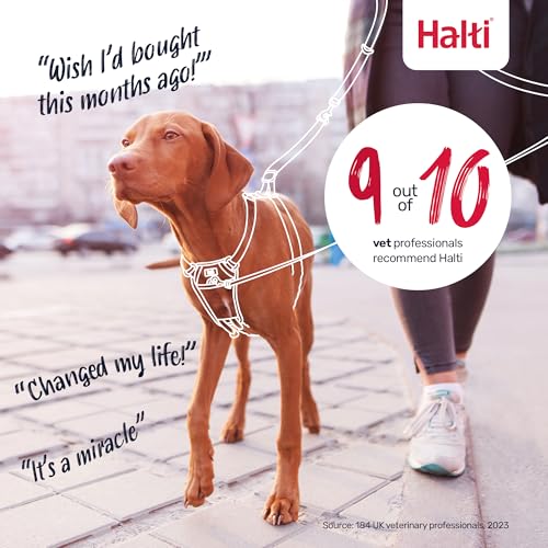 Halti No Pull Geschirr und Trainingsleine Kombi-Pack - Stop Dog Pulling on Walks mit Halti, Includes Medium No Pull Harness und Double Ended Lead