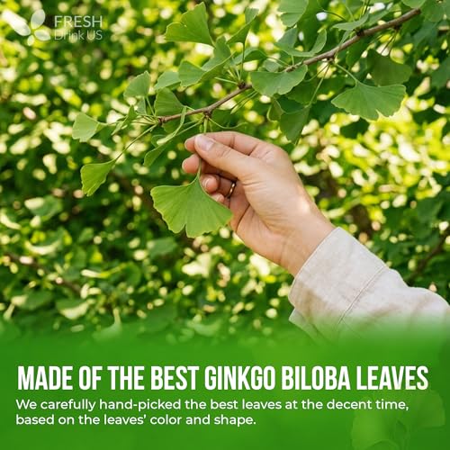Image of FRESHDRINKUS, Premium 8oz Ginkgo Biloba Leaves Powder, 100% Natural & Pure, Herbal Tea, No Sugar, No Caffeine, No Gluten, Vegan.