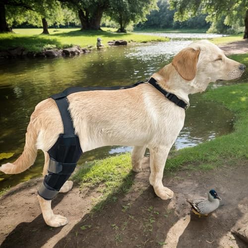 Hunde-Kniebandage – Bandage für Hinterbein, Bein oder Vorderbein, verstellbare Beinstütze für Hinterbeine, Bänderverletzungen, lindert Schmerzen und reduziert Schmerzen