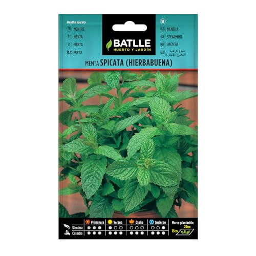 Battle - Semi Aromatici Menta Spicata/Romana (Semi - 40-50Cm)