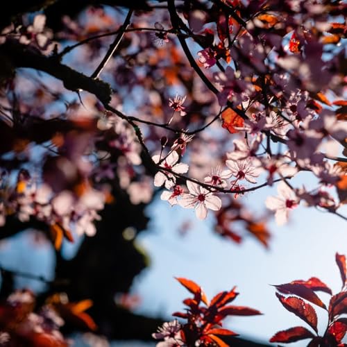 El tapiz amarillo - Charlotte Perkins Gilman 1