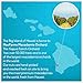 Macadamia Nuts | MacFarms Dry Roasted Macadamia Nuts 24 OZ (2 Pack) - Premium Roasted Nuts with Sea Salt Fresh From Hawaii, Sea Salt Flavored Healthy Snack