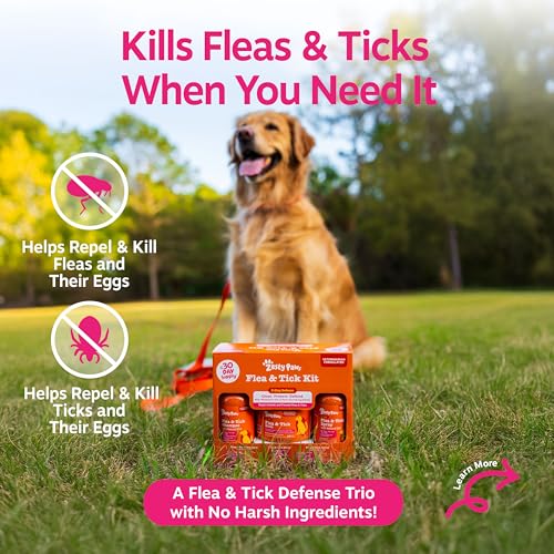 Image of Zesty Paws Flea and Tick Kit for Dogs - Shampoo, Spray & Soft Chews that Kill Fleas, Ticks & Their Eggs - Prevention, Protection & Repellent - Soothes Itchy & Irritated Dog Skin