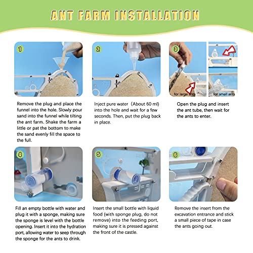 ELNMLHT Ant Farm Castle, Ant Farms with Yellow Sand and Tool Kit, Ant Colony Observation Kit, Ant Viewing Habitat Science Kit, Educational & Learning Science Kit for Kids, Adults, Student - Image 6
