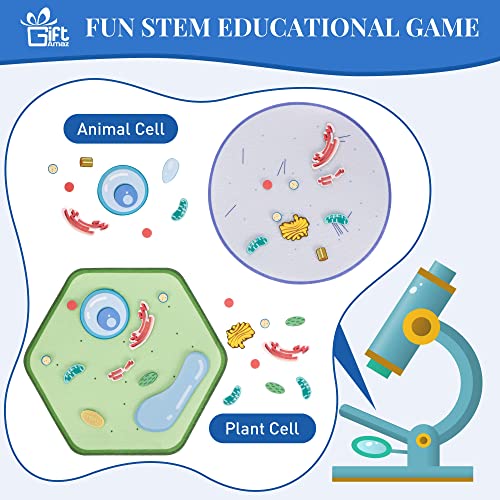 Image of GiftAmaz Animal and Plant Cell Anatomy Model, Soft Felt Science Model Toy | Early Cell Biology and Life Science STEM Toy, Classroom Teaching Aid, Educational Learning Activities Birthday Toy for Kid 6+