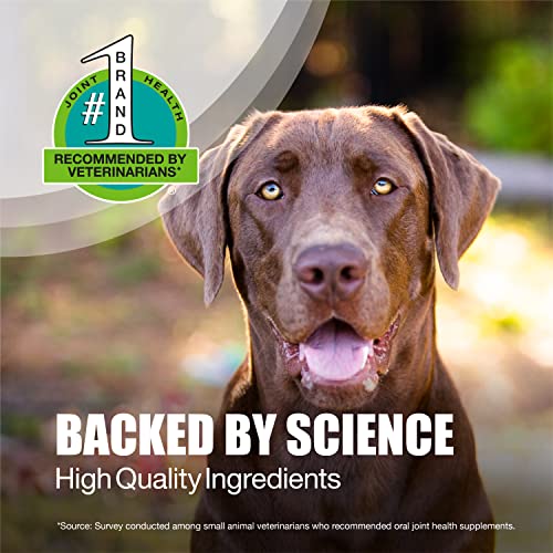 Nutramax-Dasuquin-Joint-Health-Supplement-for-Large-Dogs-With-Glucosamine-Chondroitin-ASU-Boswellia-Serrata-Extract-and-Green-Tea-Extract-84-Soft-Chews