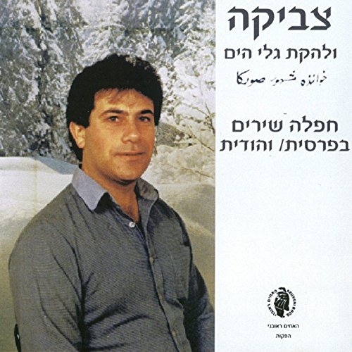Amazon.com: חפלה שירים בפרסית והודית : צביקה: Digital Music