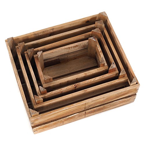 DESIGN DELIGHTS - Set di 4 cassette decorative in