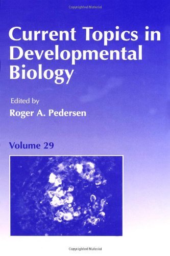 Current Topics in Developmental Biology (ISSN Book 29)