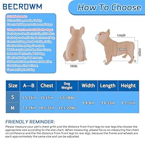   Dog-Wheelchair-for-Back-Legs-Adjustable-Dog-Wheelchairs-with-2-Wheels-Pet-Doggy-Wheelchairs-with-Disabled-Hind-Legs-Walking-Dog-Leg-Brace-and-Hip-SupportLight-Weight-S