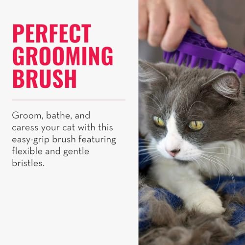 KONG – Cat ZoomGroom – Pflege- und Massagebürste aus Weichem Kautschuk für Katzen