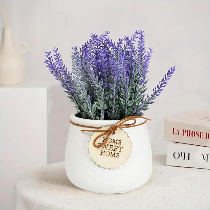 Live Lavender Plant in Pot - Fragrant Home Decor -1 Live Lavender Plant in Pot - Fragrant Home Decor -1
