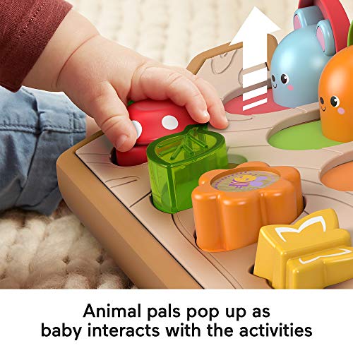 Fisher-Price Hide & Peek - Image 5