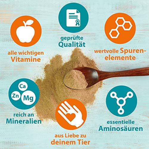 Ida Plus - Puur biergistpoeder, 3 kg, 100% natuurproduct voor honden, katten en paarden, voedingssupplement voor… - Image 5