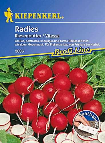 Preisvergleich Produktbild Radies Riesenbutter Vitessa Saatband 5mtr