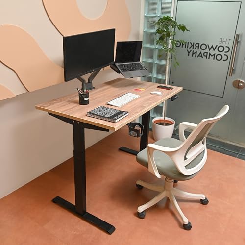Image of Dual Motor |150x75cm 25mm Thick top - 120 kg Weight Capacity with Anti-Collision Safety Electric Height Adjustable Table | Sit and Stand Desk for Work from Home