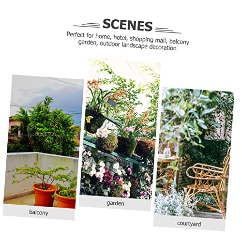 Decoración Exterior, Imagen adicional