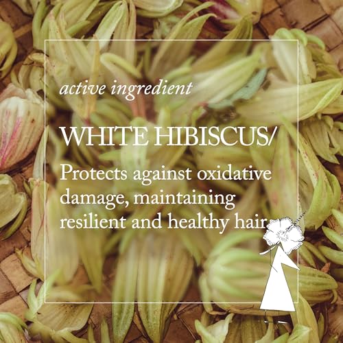Image of Davines DEDE /Leave-In Hair Mist, Lightweight Conditioner for All Hair Types - Frequent Use Spray to Detangle, Moisturize, and Remineralize with White Hibiscus, Weightless