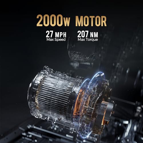 eAhora M1P Electric Trike for Adults, 2000W Brushless Motor
