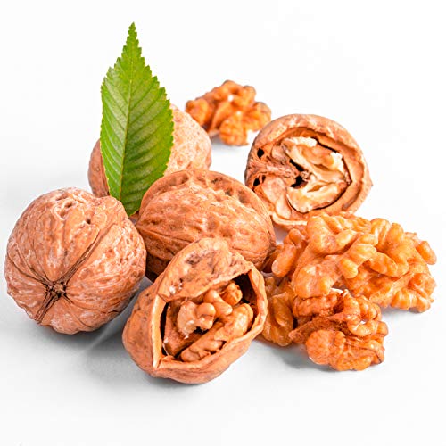 Arashan Royal Walnuts, 16 OZ, Raw Unsulted Walnuts from Central Asia, Unshell Halves and Pieces, Kosher, Natural, Healthy Snack - Image 3