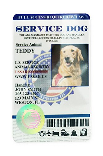 holographic service dog id card XpressID Custom Search and Rescue with Photo - Includes Handler Information Pet Id Tag Collar Service