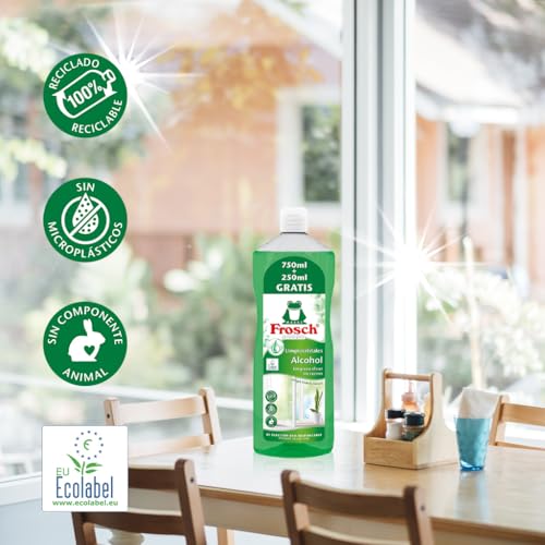 Frosch Limpiacristales Xl 1L