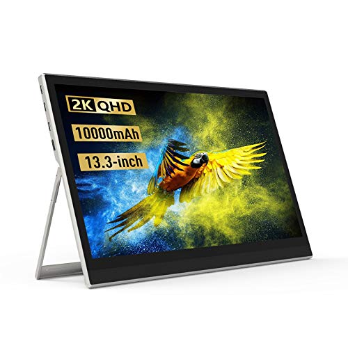 ALLDOCUBE Expand X 13,3 Zoll tragbarer 2K-Touchscreen-Monitor USB-C HDMI 10000 mAh Gaming-Monitor mit rahmenlosem Schwerkraftsensor-Display für Laptops und Mobiltelefone