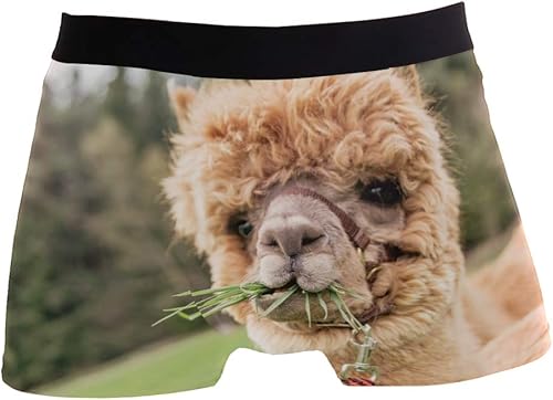 ZZKKO Skull Llama - Calzoncillos tipo bóxer para hombre, transpirables, elásticos, con bolsa, tallas S-XXL