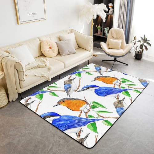 Homewish Alfombra de área de colibrí para niños, pájaros de la vida silvestre, 150 x 200 cm, alfombras de sala de estar para niños, niñas, adolescentes, mujeres, hombres, alfombras decorativas