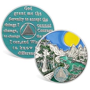 1 Year Sobriety Coin One Year Sobriety Chip Sobriety Gifts for Women Men AA Chips and Medallions Alcoholics Anonymous Addiction Recovery Gift Sober Anniversary Gifts