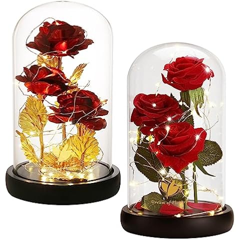 Flowers for Delivery Prime Romantic Rose Gift for Women Birthday Gifts, Love Gifts for Friends Girlfriend Cover