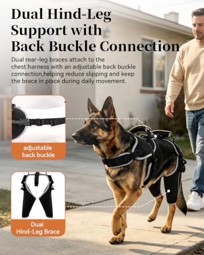 Image of Adjustable Support Dog ACL Brace Hind Leg,Both Leg-Upgraded-Custom