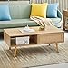 Ganooly Mid Century Modern Coffee Table With Storage