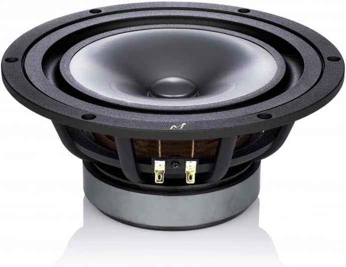 フルレンジスピーカー Fostex Fe208s Made in Japan フルレンジ