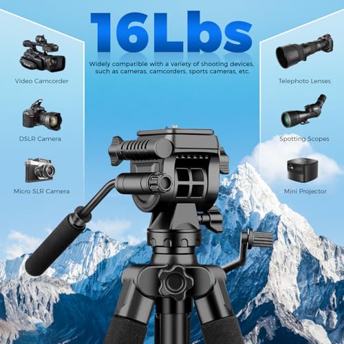 Image of Camera Tripod, 75 inch Heavy Duty Tripod for Camera with Phone Holder and Travel Bag, Compatible with Video Camera, DSLR, Spotting Scopes, Camcorder, GoPro, Cell Phone, Max Load 16LB (Black)