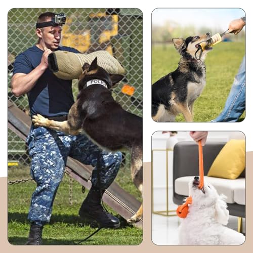 Training Stick for Dog Bite Training
