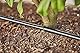 Gardena Micro-Drip-System Tropfbewässerungs-Set Hecken/Sträucher (50 m): Starter-Set, gebrauchsfertiges, wassersparendes Bewässerungssystem, einfache & flexible Anschlusstechnik (13501-20)