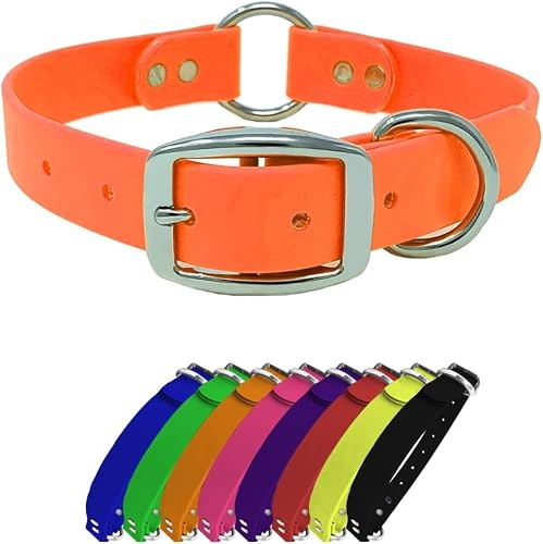 Regal Dog Products Small Orange Waterproof Dog Collar With Heavy Duty Center Ring, Double Buckle & D Ring | Vinyl Coated, Custom Fit, Adjustable Puppy Pet Collars | Other Sizes For Medium & Large Dogs #TOP2