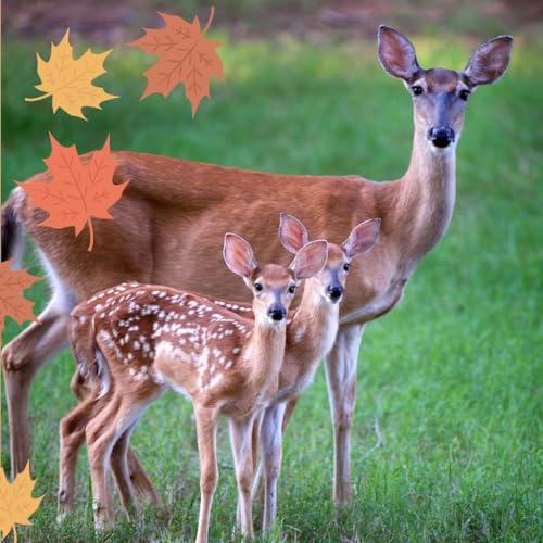 Babies in the Wild (Animals in Action) - Image 5